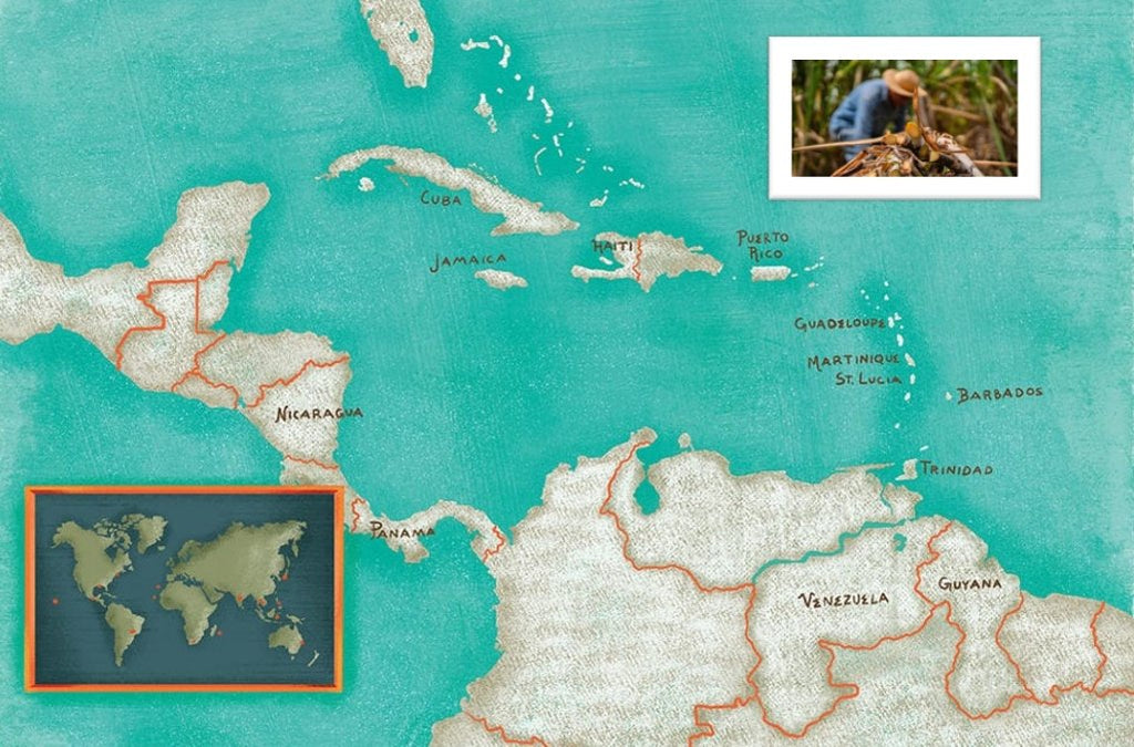 Rum Facts #2 : Overview of rum characteristics of the main rum producing nations